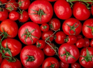Campanha sobre excelência do tomate italiano é lançada em BH 