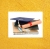 Como conseguir uma bolsa de estudos na Itália?