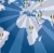 Cresce o número de italianos residentes no exterior 