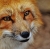 Sobrenomes italianos inspirados em animais