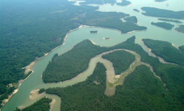 Una poesia per la Foresta Amazzonica