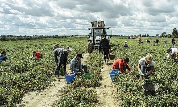 Coronavírus, Itália sofre com fuga de trabalhadores estrangeiros 