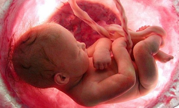 2021 supera 22 milhões de abortos até o início de julho 