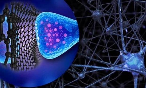 Grafeno e Cérebro Humano: pesquisas de excelência na UE