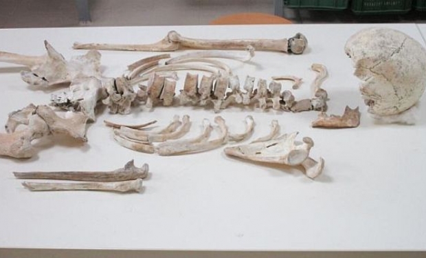 Primeiro genoma humano sequenciado da Antiga Pompeia