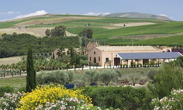 Donnafugata: eleganza e tipicità dei vini siciliani