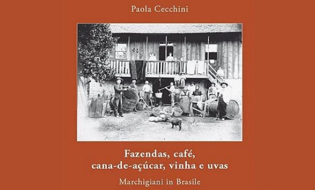 Fazendas, café, cana-de-açúcar, vinha e uvas: Marchigiani in Brasile