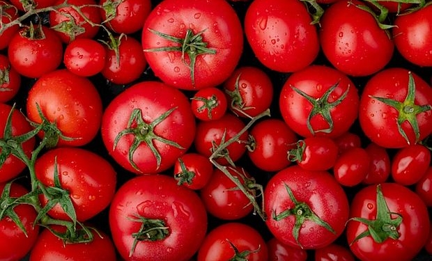 Campanha sobre excelência do tomate italiano é lançada em BH