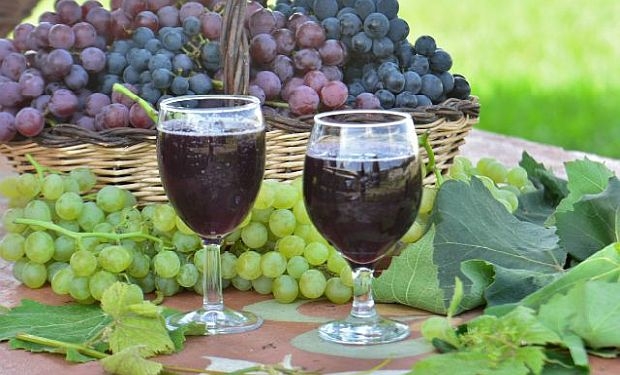 BRS Violeta, a uva brasileira